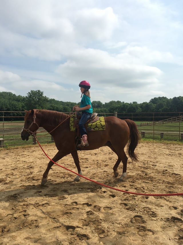 Riverside Stables2