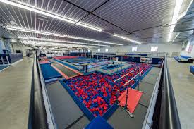 performance elite gymnastics .jpeg