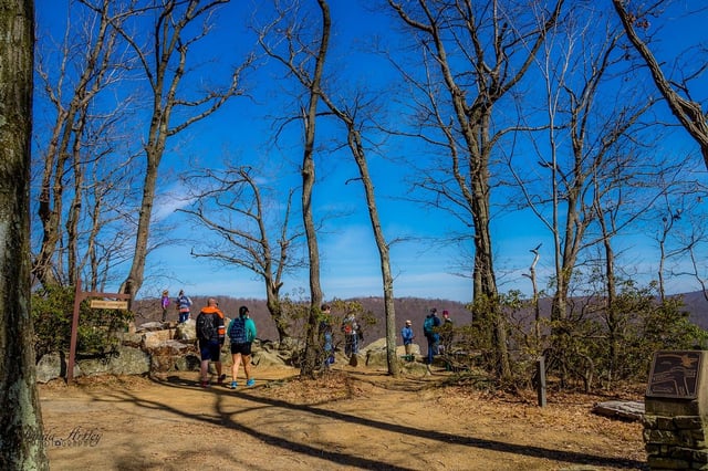 Hawk Mountain4