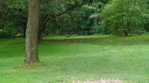oak ledges disc golf