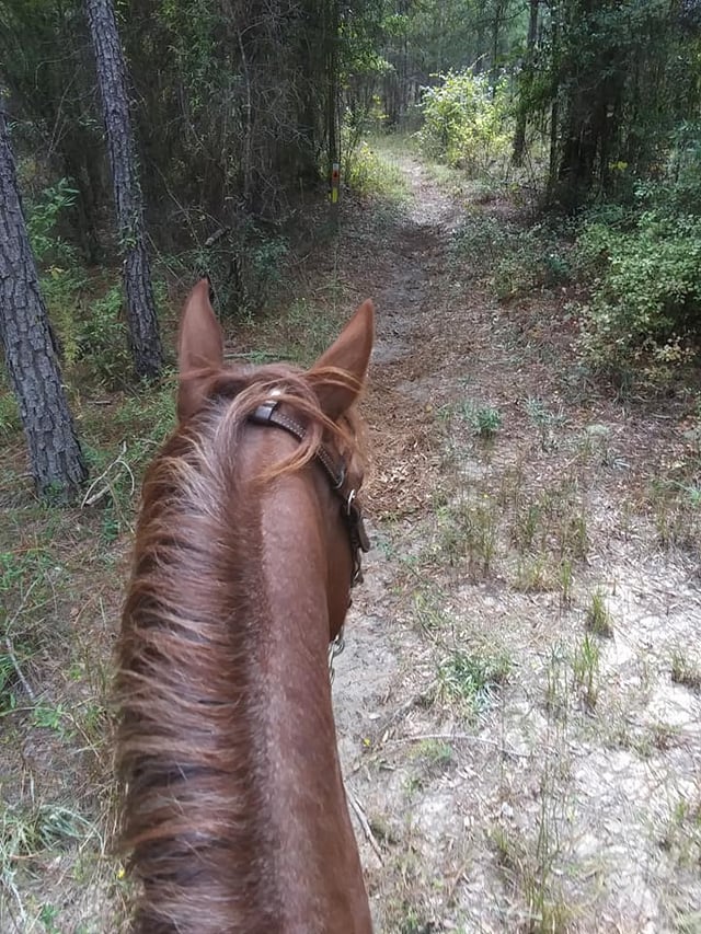 Mill Creek Park3