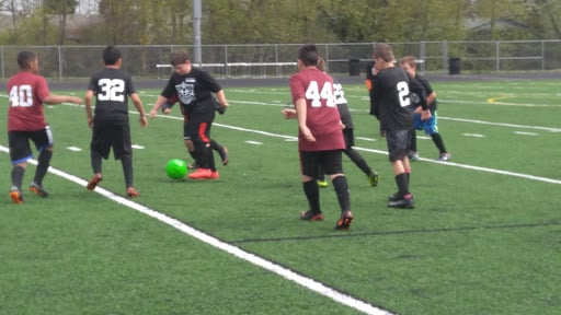 Cal Young Sports Park