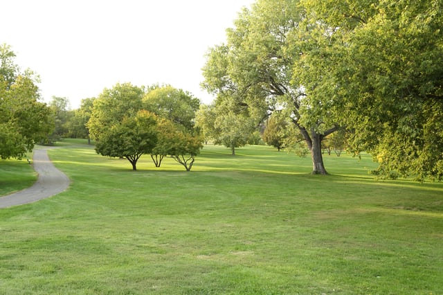 Dry Run Creek Disc(2).jpg