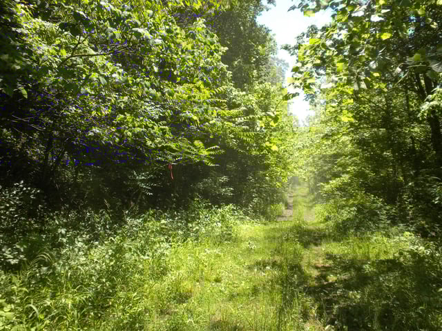 Athens Belpre Rail Trail5
