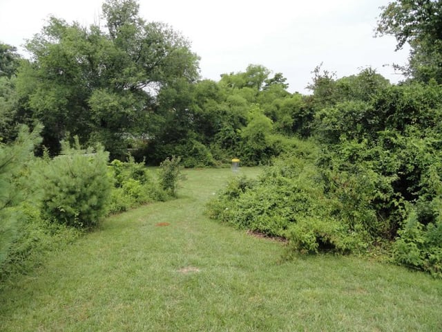 Walrond Park Disc Golf Course2
