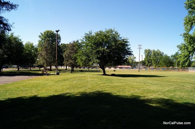 Alta Mesa Park 2