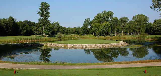 Maple 1