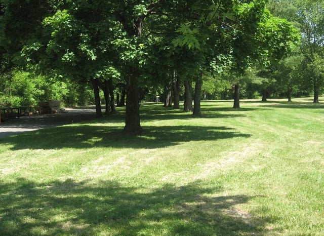 Silver Creek 1