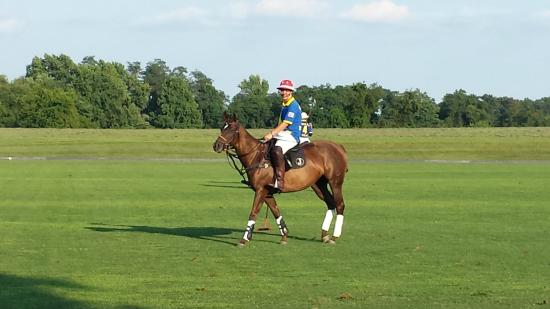 Brandywine Polo Fields & Club 3