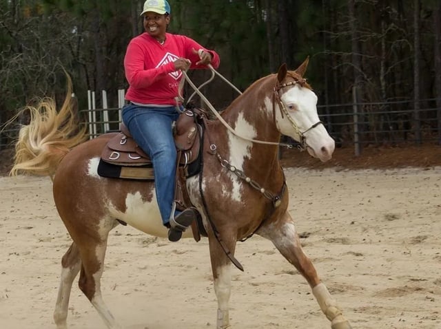 Almost Heaven Stables2