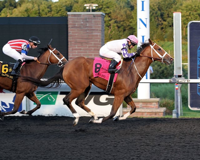 Presque Isle Downs & Casino