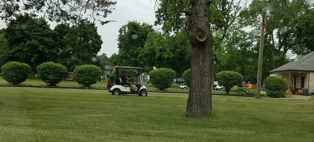 Collins Park Golf Club3