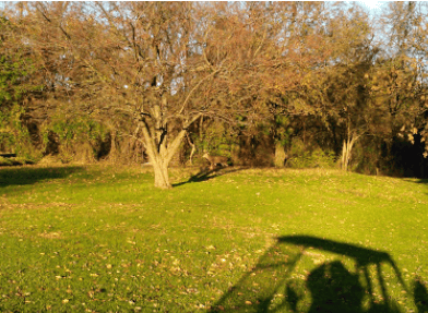 Carroll Park Golf Course 5