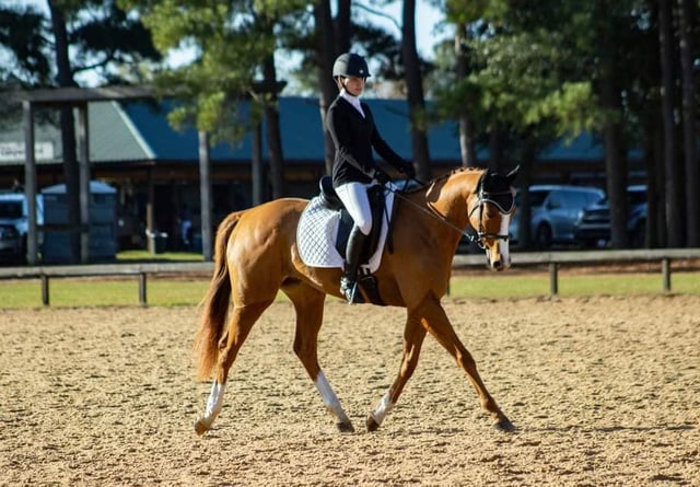Sandy River Equestrian Center 1