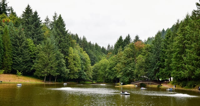 Horning's Fishing & Picnic Hideout3