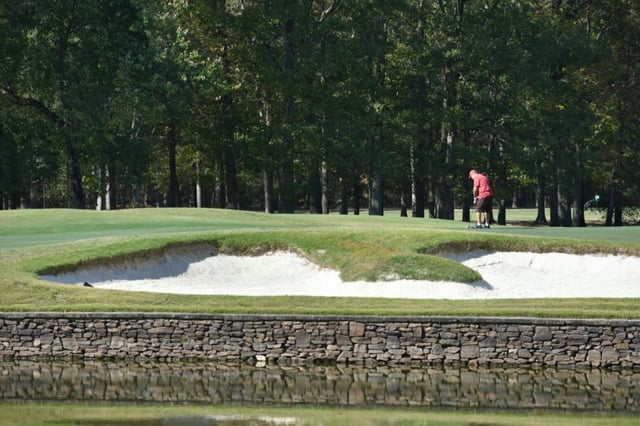 point mallard golf