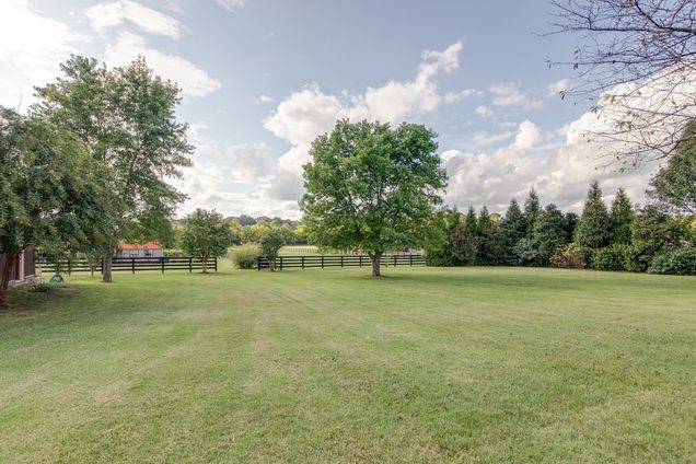 Trinity Park 2