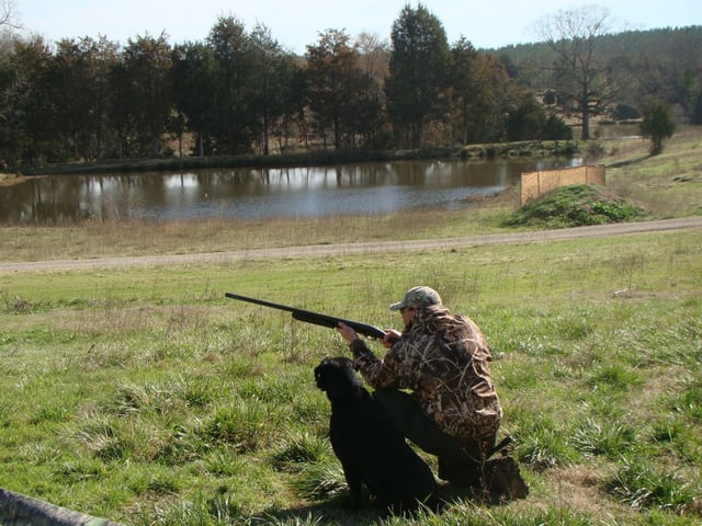 Oak Grove Plantation4