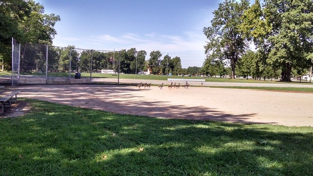 Robb Park2