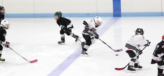 Homewood-Flossmoor Ice Arena 2