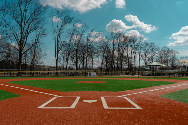 walker ball park turf t ball field.jpg