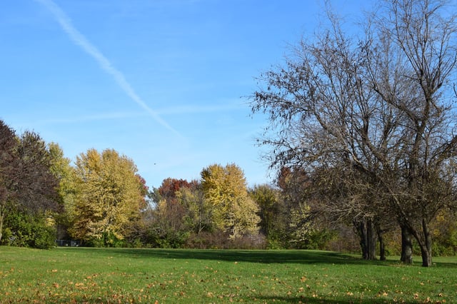 John Anderson Park2