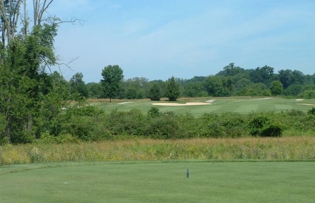 Hayfields 1