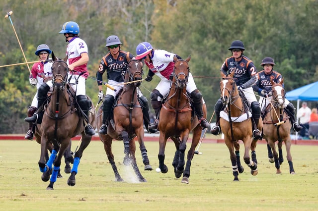 Sarasota Polo Club7