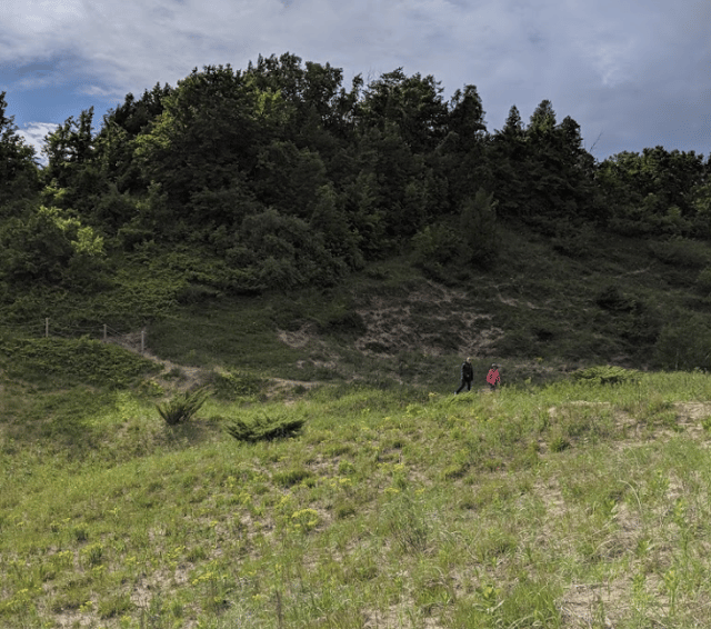 Arcadia Dunes 6