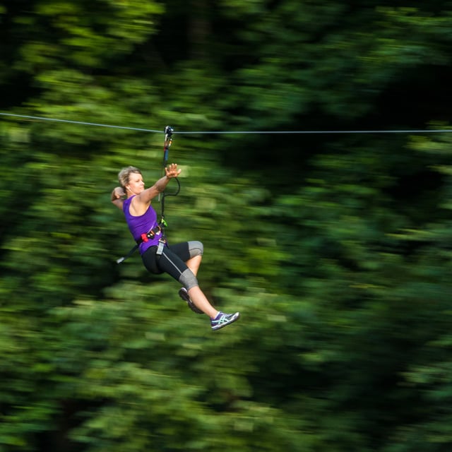 Go Ape Treetop Adventure Course