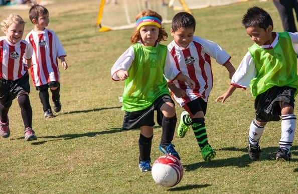 Lewis Soccer Complex 2