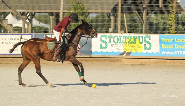 Brandywine Polo Fields & Club 6