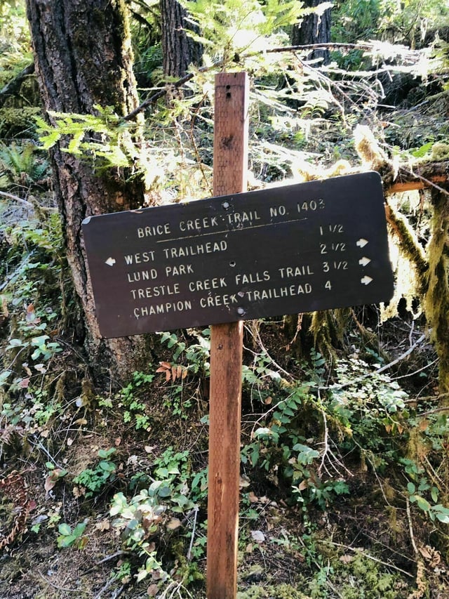 Umpqua National Forest8