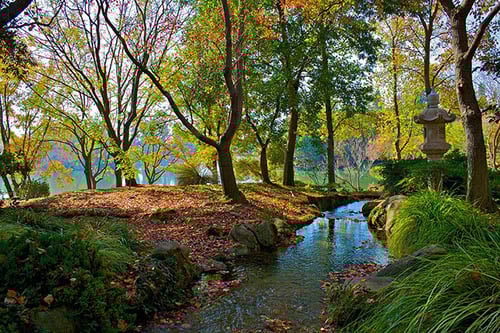 Woodward Park 5