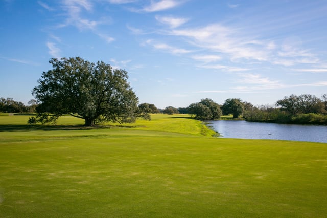 Bayou Oaks at City Park3