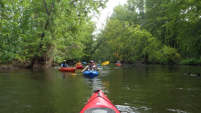 Paw Paw River Water Trail 5