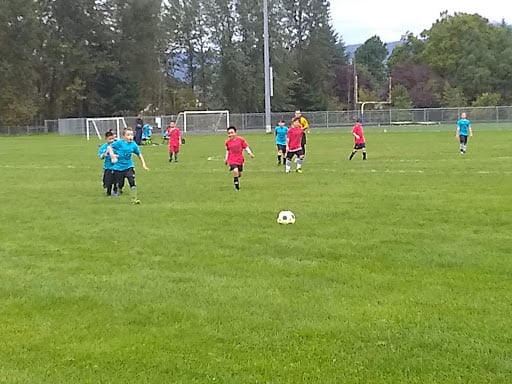 Cal Young Sports Park2