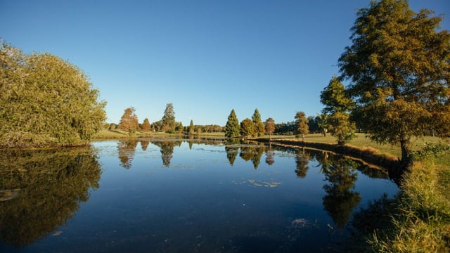 Mangrove Bay Golf Course, t. Pete.jpg