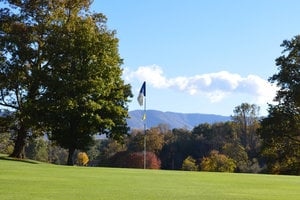 Image_3.jpg