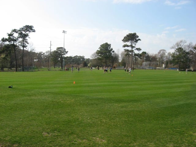 central park michael nash field