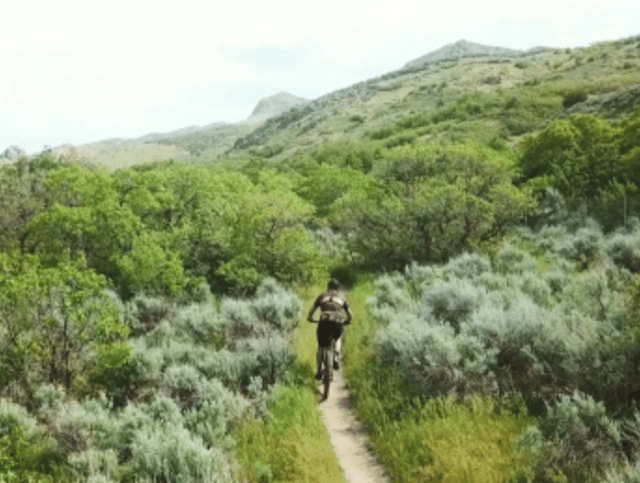 Screen Shot 2024-09-30 at 3.39.17 PM.png