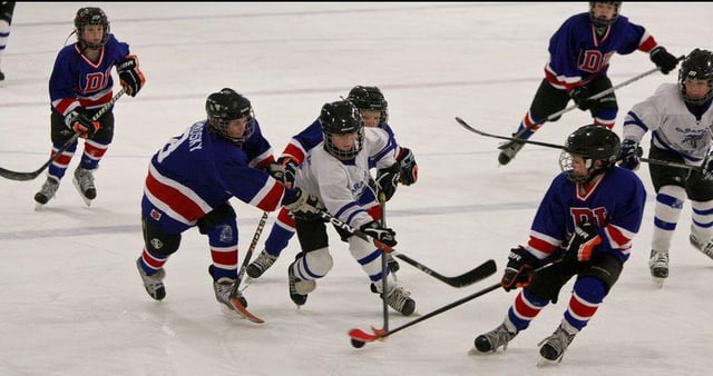 weibel ice arena hockey.jpeg