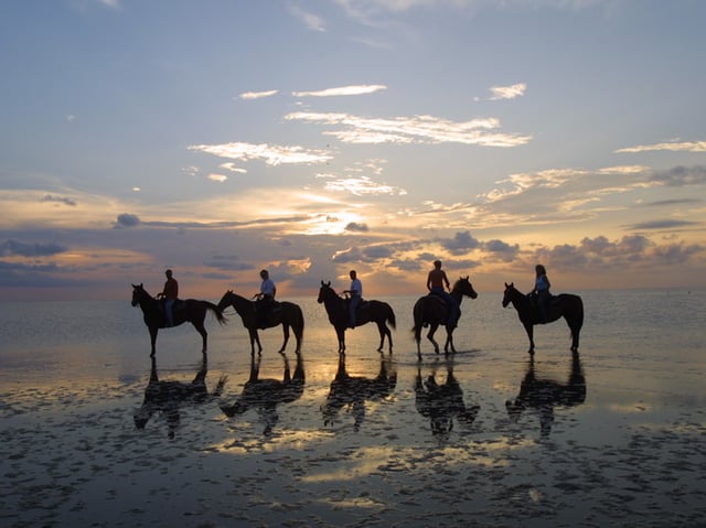 South Padre Island Equestrian Centre 1