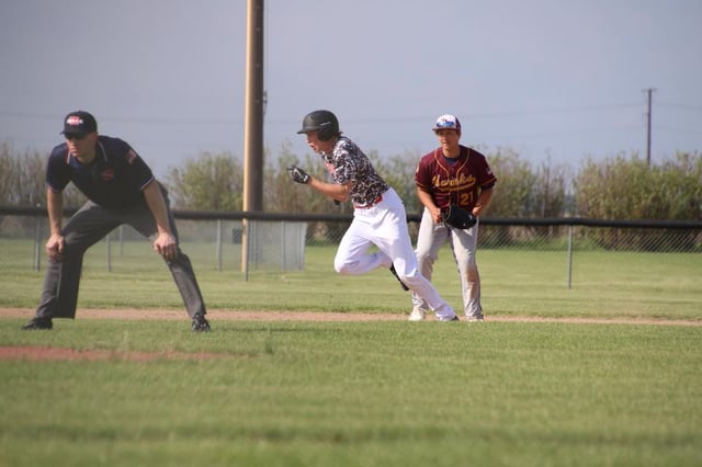 Sibley 6