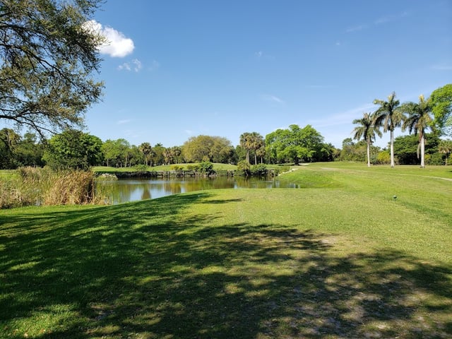Eco Golf Club 3