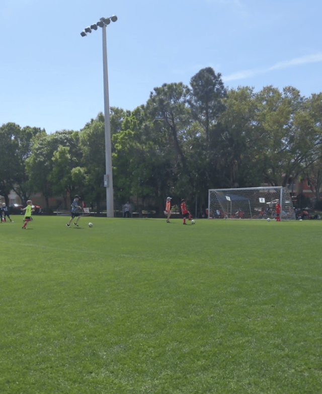 Screen Shot 2020-06-20 at 8.19.24 PM