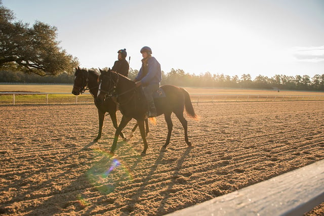 Aiken Training Track2