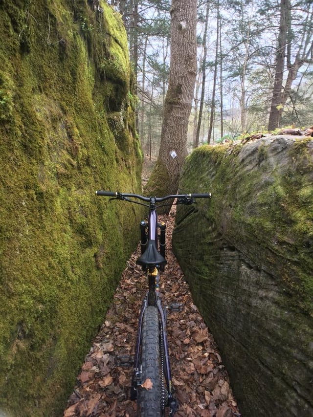 STA BIKE.jpg