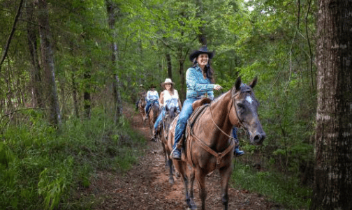 Screen Shot 2024-11-27 at 12.31.03 PM.png