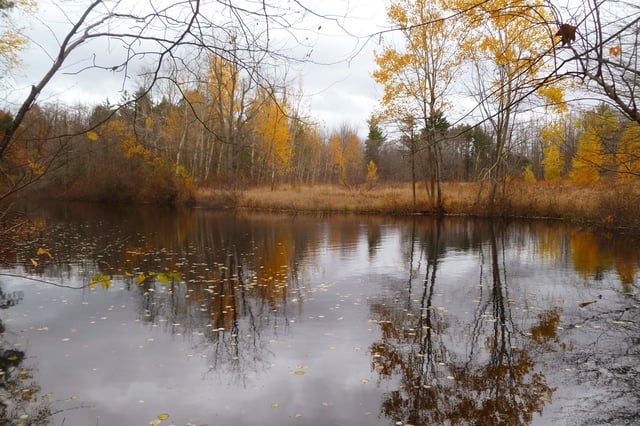 huyser farm park